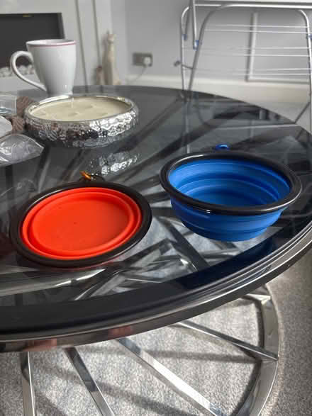 Photo of free 2x pop up Dog/Cat bowls (Eastham CH62) #1
