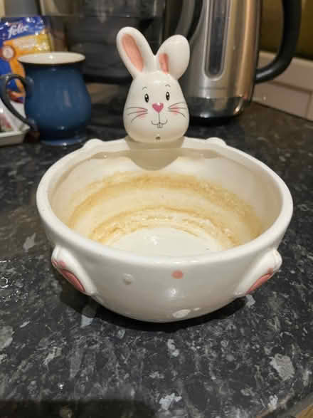 Photo of free Easter bunny bowl (Woodside CR0) #1
