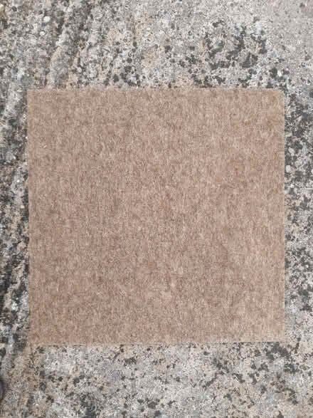 Photo of free 66 carpet tiles never glued (Shawbury) (Sundorne SY1) #1