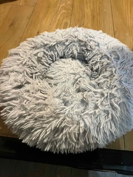 Photo of free Fluffy cat bed (Woodside CR0) #3