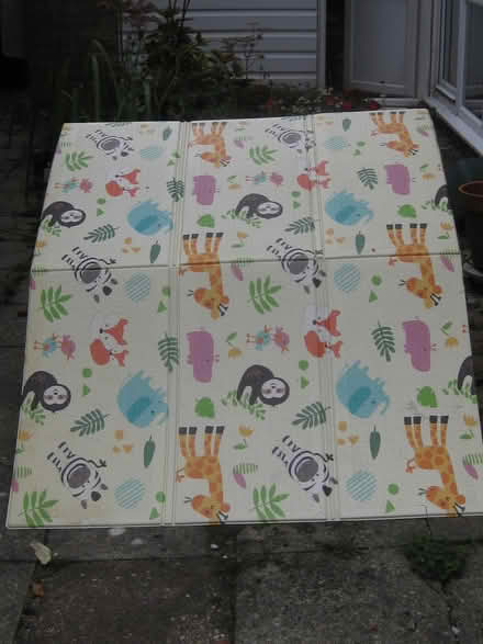 Photo of free Wipe-clean Play Mats (Springfield, Chelmsford, CM1) #3