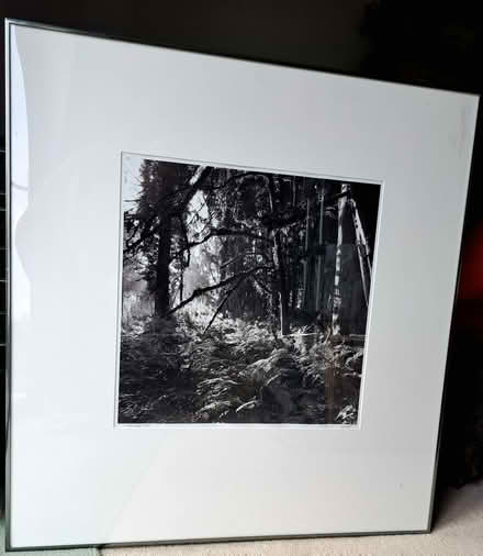 Photo of free Large mounted original photo prints (Harden Moor BD21) #3