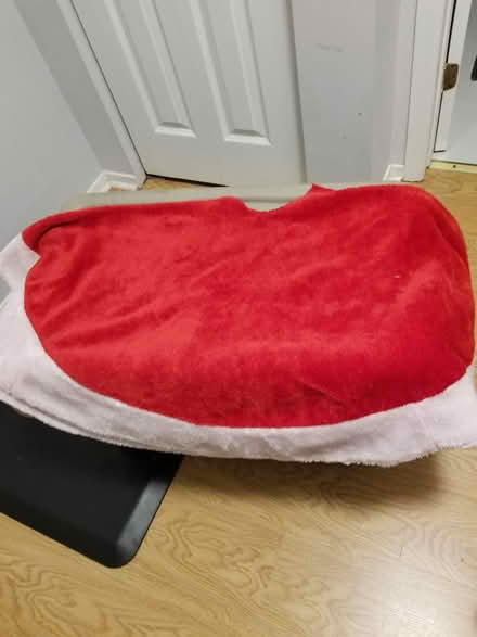 Photo of free Christmas tree with accessories (Hunt Club) #2