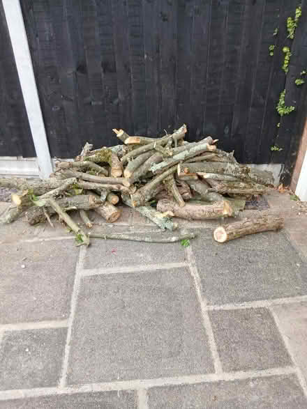 Photo of free Logs (Tiptree CO5) #1