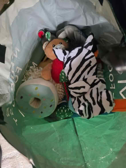 Photo of free Dog toys (Horsham RH12) #1
