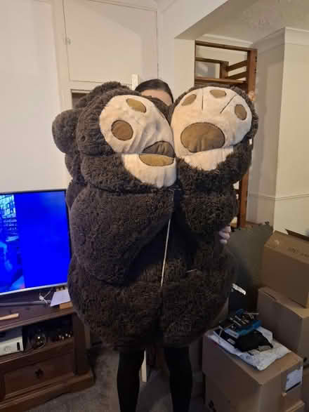 Photo of free Costco Bear (Stanwell TW19) #1