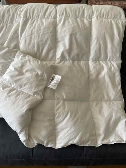 Photo of free Toddler feather duvet and pillow set (North Road BA2) #3