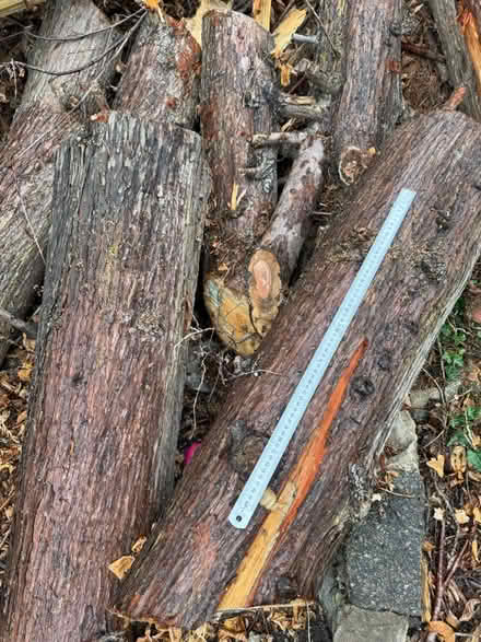 Photo of free Logs (Palmers Green N14 7) #2