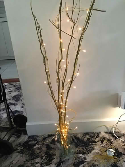 Photo of free Twig lights (Dublin 16) #2