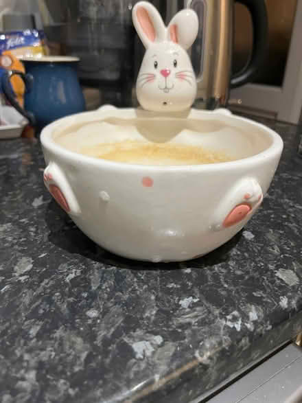 Photo of free Easter bunny bowl (Woodside CR0) #2