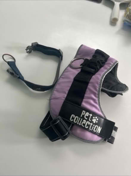 Photo of free Dog Harness & Collar (North Bersted, PO21 5**) #1