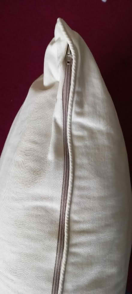 Photo of free Floor cushion (Polegate BN26) #2