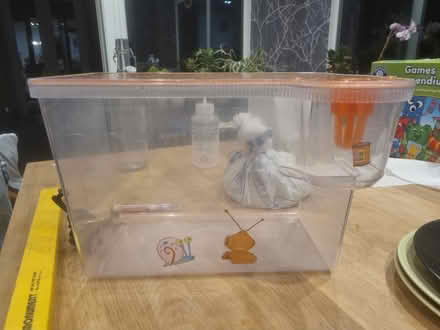 Photo of free Plastic aquarium (EN11 rye house area) #1