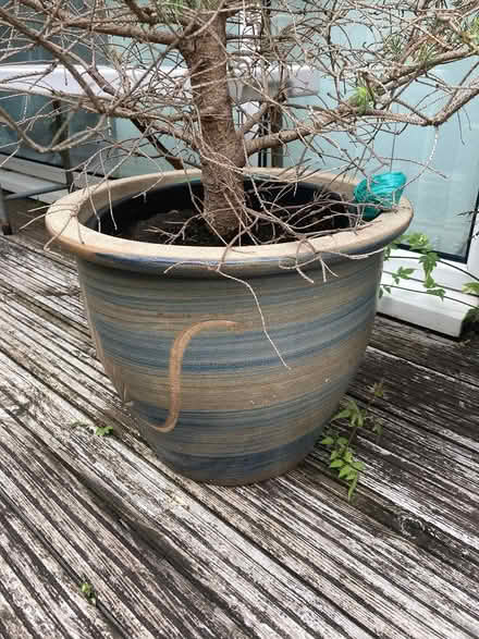 Photo of free Large planter (Willingdon BN22) #2