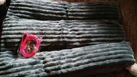 Photo of free Puppy or small dog bed and lead (Chesser EH14) #1