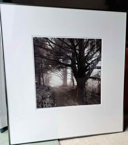 Photo of free Large mounted original photo prints (Harden Moor BD21) #1