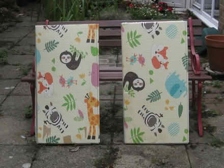 Photo of free Wipe-clean Play Mats (Springfield, Chelmsford, CM1) #2