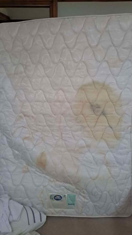 Photo of free Double mattress (South Reading RG2) #3