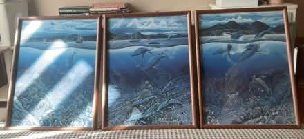 Photo of free Framed R.Lyn Nelson posters (Western Dearborn) #1