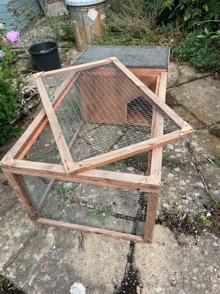 Photo of free Rabbit/Guinea Pig Run (Dersingham PE31) #1