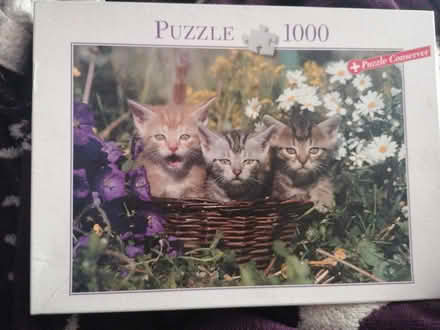 Photo of free 1000 piece jigsaw puzzle (Presteigne LD8) #1