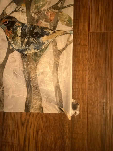 Photo of free Canvas print with corner damage (Eubank and Spain) #2