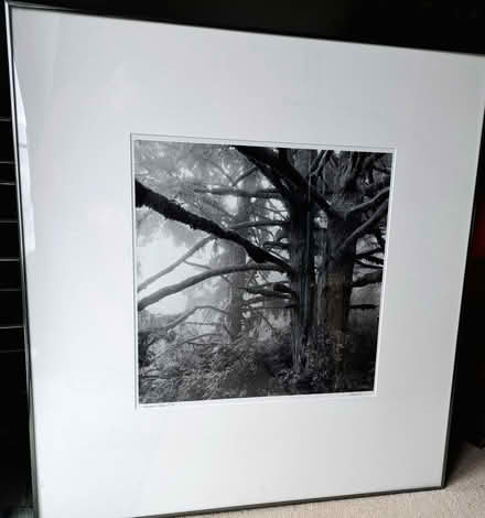 Photo of free Large mounted original photo prints (Harden Moor BD21) #2