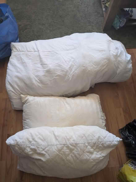 Photo of free Bedding (Westbourne Park W9) #1