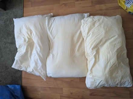 Photo of free Bedding (Westbourne Park W9) #2