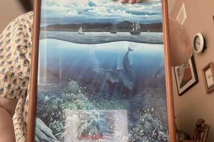 Photo of free Framed R.Lyn Nelson posters (Western Dearborn) #2