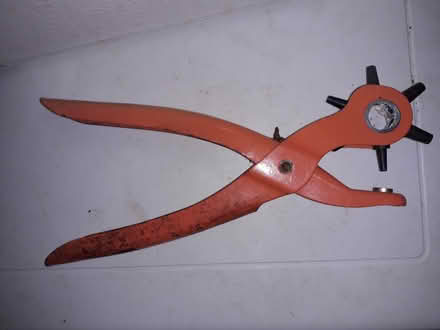 Photo of free Punch (Colchester CO1) #2