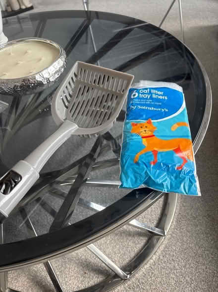 Photo of free Litter liners and litter tray scoop (Eastham CH62) #1