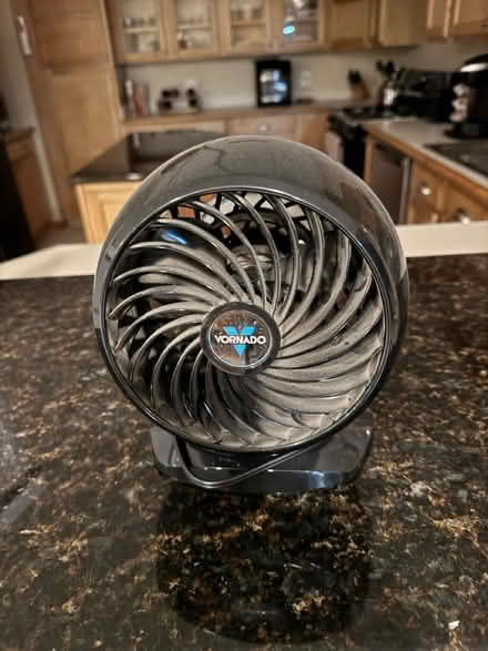 Photo of free Coronado Fan (Rochester) #1