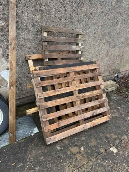 Photo of free Pallets (Sleagill CA10) #1