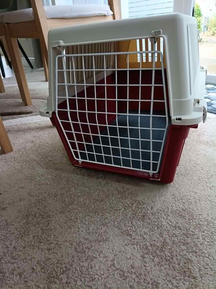 Photo of free Small pet carrier (Portishead BS20) #1