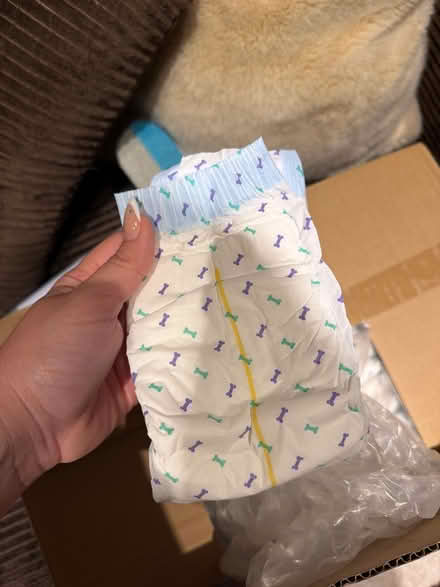 Photo of free Dog diapers (Rockville) #2