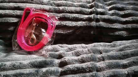 Photo of free Puppy or small dog bed and lead (Chesser EH14) #2