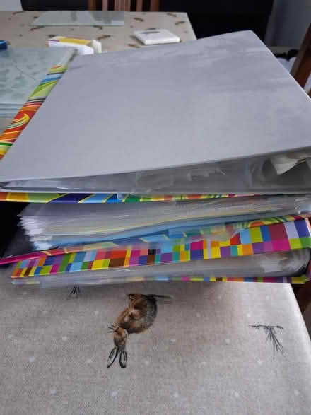 Photo of free 4 ring binders (Bishop's Lydeard TA4) #2
