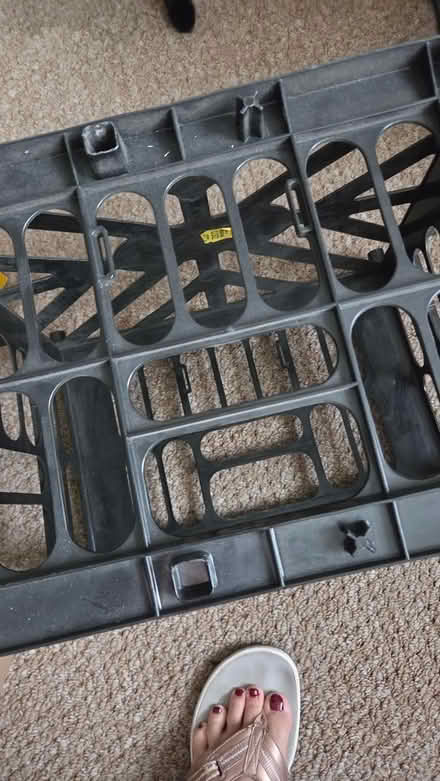 Photo of free Egg Crates (Haledon, NJ) #2