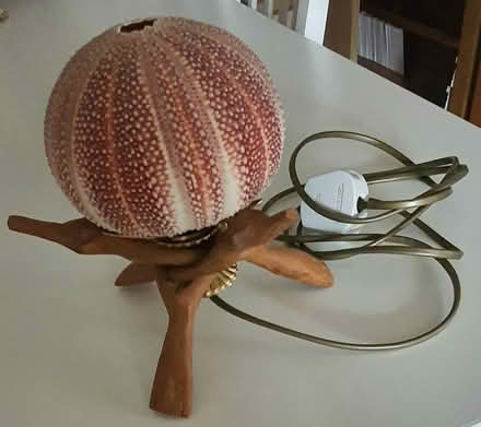 Photo of free Small night-light lamp (Bolton le Sands, LA5) #1