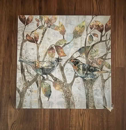 Photo of free Canvas print with corner damage (Eubank and Spain) #1