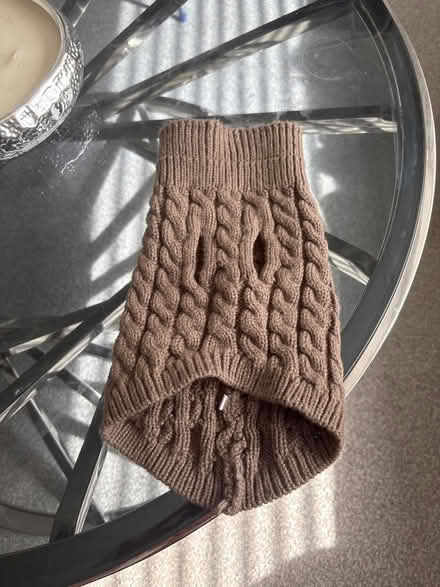 Photo of free Small Dog/Medium Cat Jumper (Eastham CH62) #1