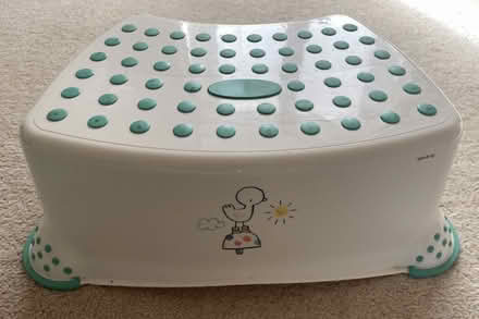 Photo of free Toilet Training Seat and Toddler Ste[ (Fairfield Park BA1) #3