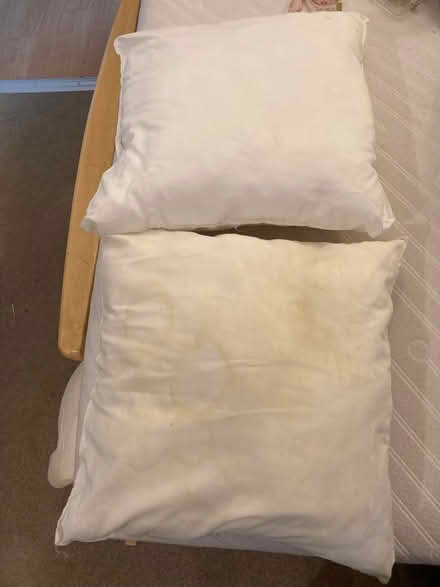 Photo of free Cushion inserts (Willingdon BN22) #2