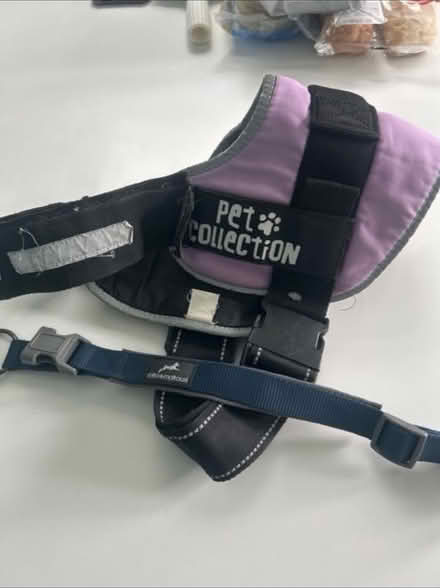 Photo of free Dog Harness & Collar (North Bersted, PO21 5**) #2