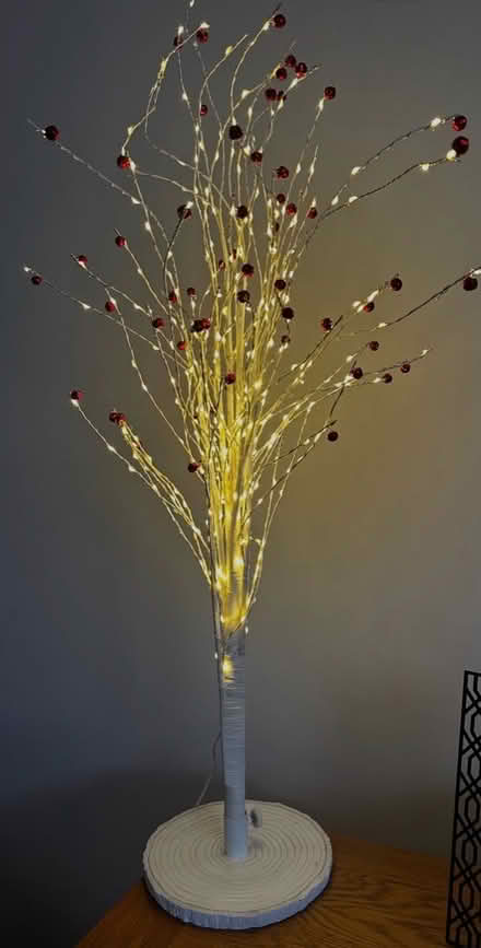 Photo of free Light/ or Xmas decoration (Hp18) #1