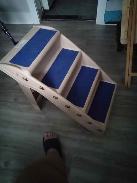 Photo of free Small cat or dog step (New Brunswick) #1