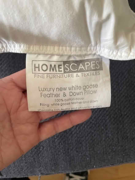 Photo of free Toddler feather duvet and pillow set (North Road BA2) #2