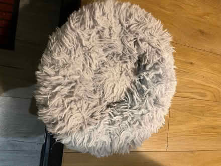 Photo of free Fluffy cat bed (Woodside CR0) #1