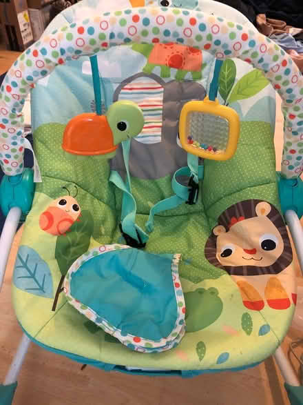 Photo of free Kids II baby rocker (Caversham RG4) #1